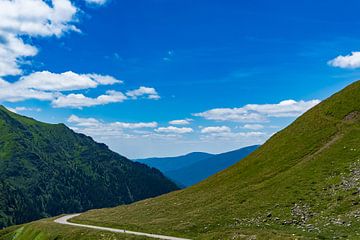 cycliste chétif escaladant les puissantes montagnes de Fagaras sur Jan van Bizar