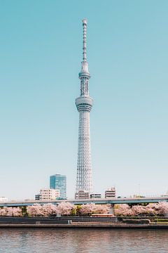 Skytree en kersenbloesem: de bezienswaardigheden van Tokio aan de rivier van NZME Photography