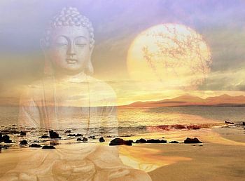 Oase der Entspannung