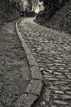 Cobble street in Kraainem, black and white