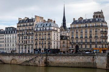 View of the Île de la Cité quay by OCEANVOLTA