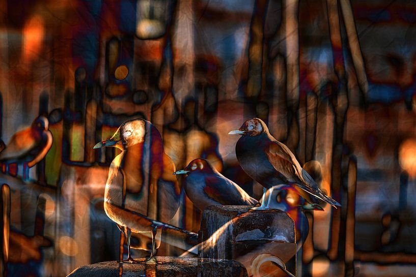 Vage stadsvogels van Photoart-Naegele