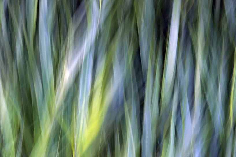 Urban - Botanicals by arte factum berlin