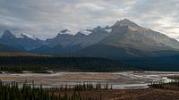 Howse Pass Viewpoint and the Saskatchewan River by Leon Brouwer thumbnail