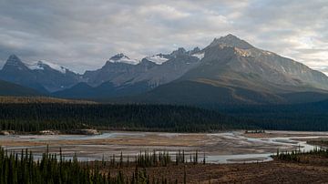Howse Pass Viewpoint and the Saskatchewan River by Leon Brouwer