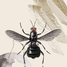 Nature pastel black insect by William Bos