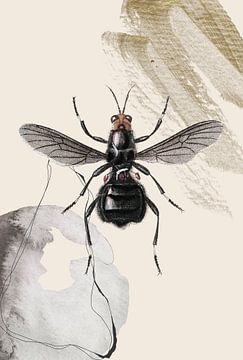 Nature pastel black insect by William Bos