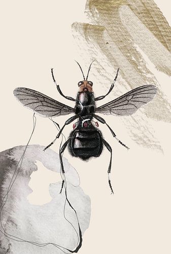 Nature pastel noir insecte sur William Bos