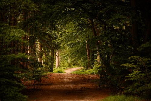 Haagse Bospad Enschede