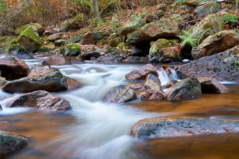 The river Ilse in the Harz National Park by Heiko Kueverling