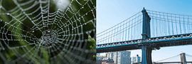 Vector Correspondences N2 - Concept by Design Urbano by Design Urbano