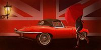 British cat