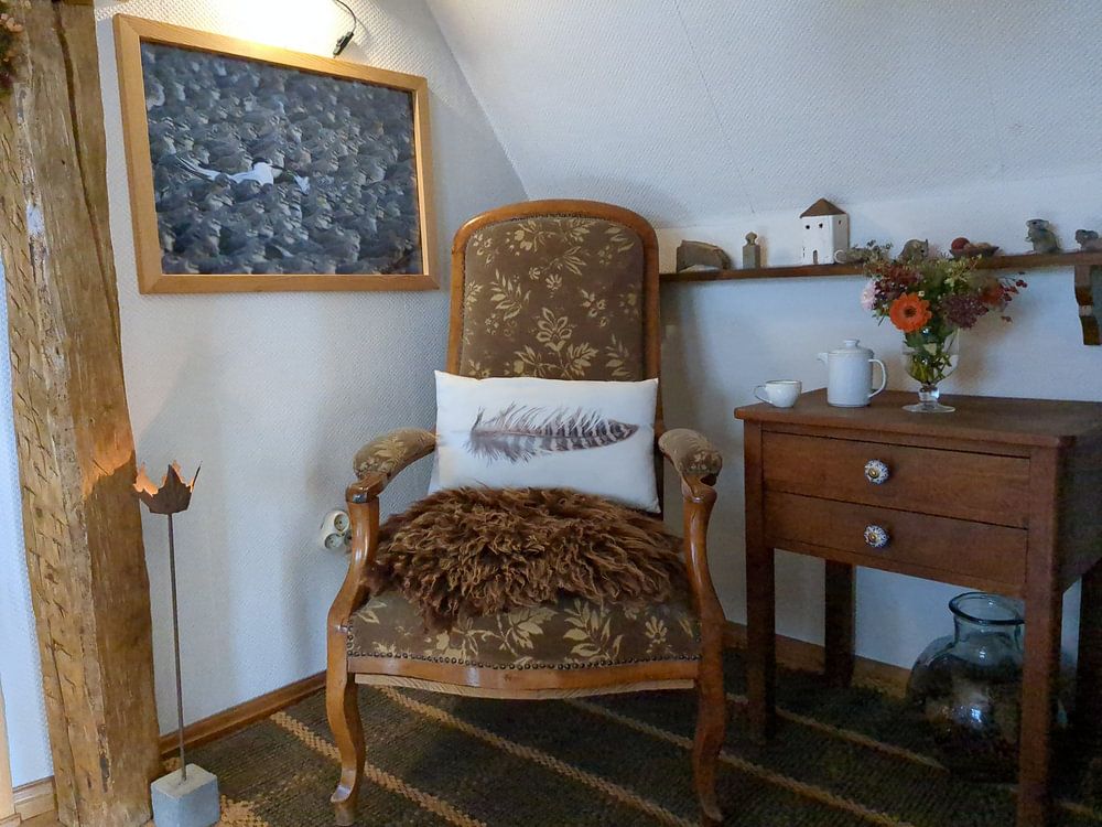 Großer Star füttert die Jugend unter Tausenden von Kanus | Gewinner Frans Lanting Photo Award WWF 20  von Anja Brouwer Fotografie 