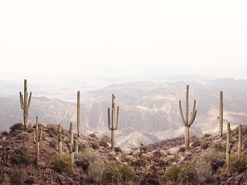 Arizona-Tal