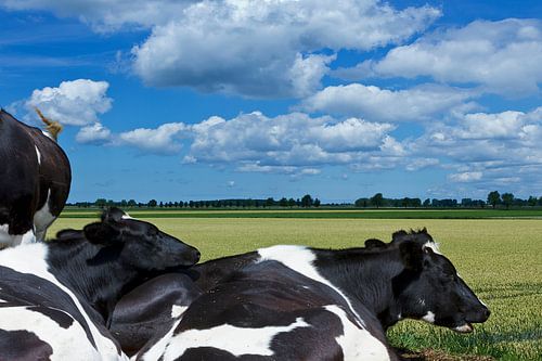 Uitzicht op Tholen 2 by Maarten J Eykman