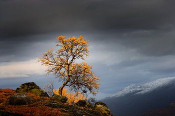 Fjell in Norwegen im Herbst