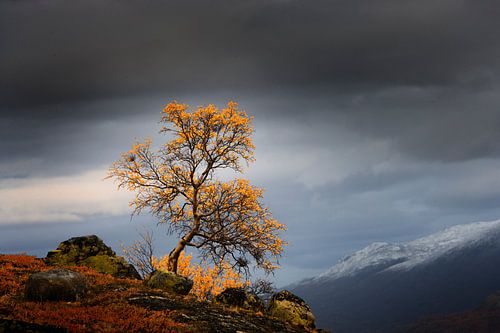 Fjell in Norwegen im Herbst