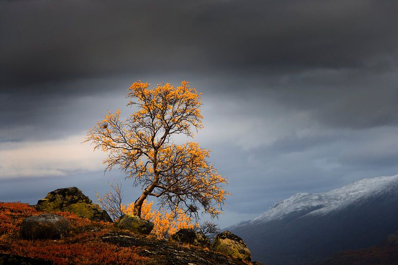 Fjell in Noorwegen in de herfst van Chris Stenger