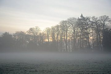 Morgennebel von Jaap Kloppenburg
