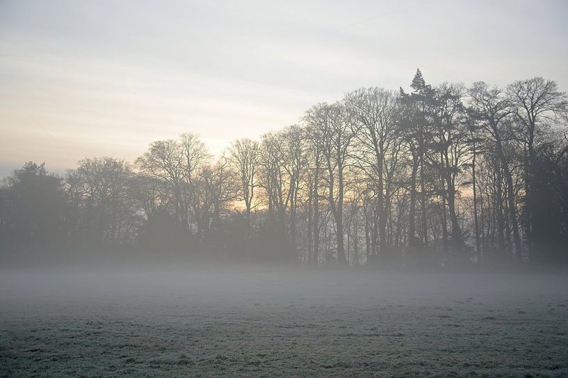 morning mists by Jaap Kloppenburg