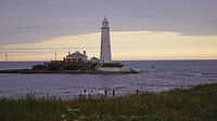 St. Mary's Lighthouse von Babetts Bildergalerie Miniaturansicht