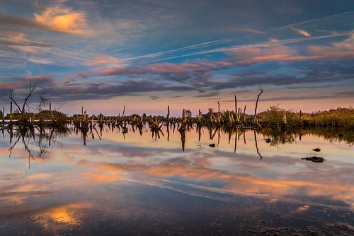 Nationaal Park De Alde Feanen bij Earnewald (Eernewoude)