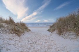 Passage sur la plage d'Usedom avec vue sur la mer Baltique sur Martin Köbsch