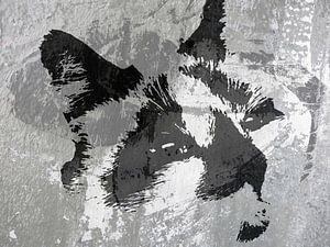Kattenkunst - Diesel 2