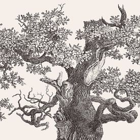 Oak Tree Top Drawing by Apolo Prints