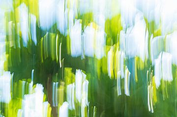Abstraktes Sommerblatt in Grün, Gelb, Blau und Weiß. von Christa Stroo photography