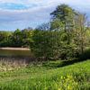 Landschaftliche Idylle am See von Tilo Grellmann