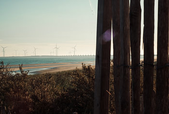 Vue sur les dunes de Zélande