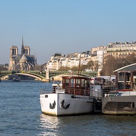 Blick auf die Seine in Paris, mit Notre Dame von Henny van de Schraaf