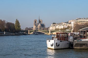 Zicht op de Seine in Parijs, met Notre Dame van Henny van de Schraaf