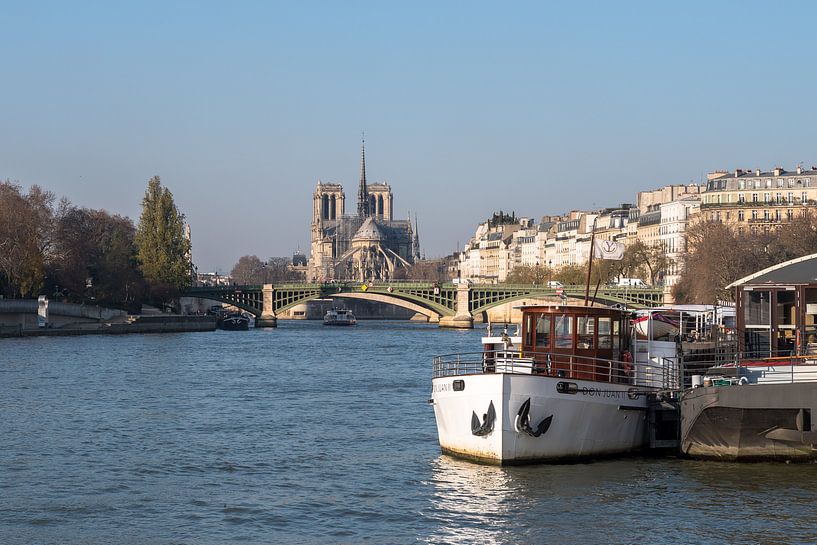 View of the Seine in Paris, with Notre Dame by Henny van de Schraaf