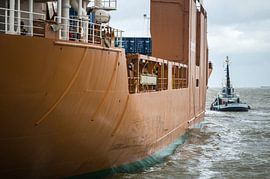 Suomigracht et Gruno V