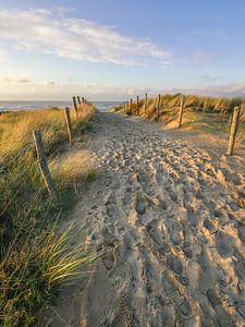 Dünen und Strand an der Küste der Niederlande