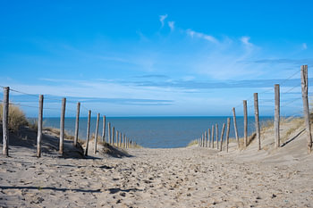 Le chemin vers le silence