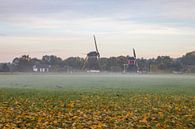 Molens van Oud-Zuilen nabij Utrecht in de vroege ochtend van Russcher Tekst & Beeld thumbnail