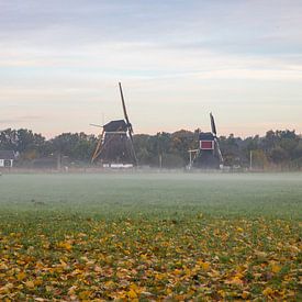 Mills of Oud-Zuilen near Utrecht in the early morning by Russcher Tekst & Beeld