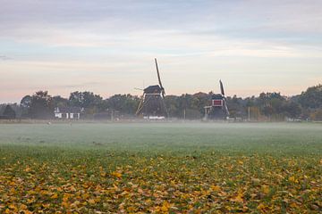 Molens van Oud-Zuilen nabij Utrecht in de vroege ochtend van Russcher Tekst & Beeld