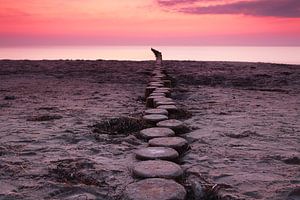 Buhnen an der Ostsee im Sonnenuntergang