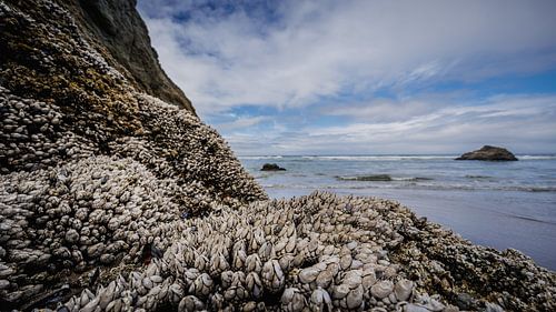 Arcadia Beach, Oregon