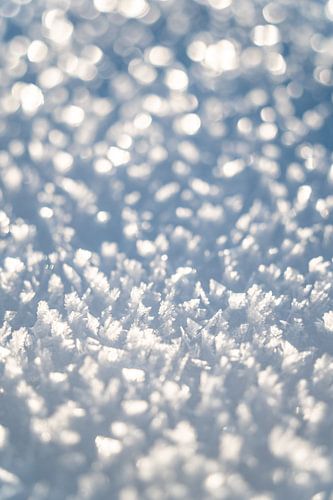 Sneeuwkristallen met de eerste zonneschijn