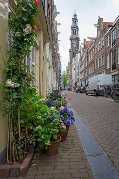 Bloemstraat Amsterdam van Peter Bartelings