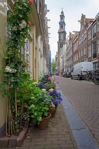 Bloemstraat Amsterdam