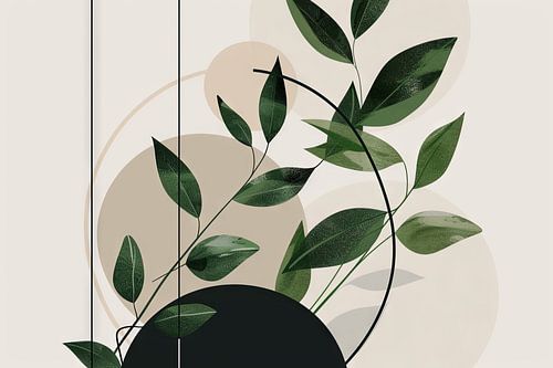Botanische geometrie