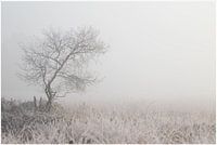 matin hivernal