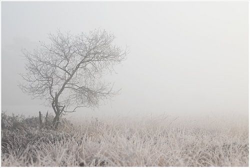 winterochtend