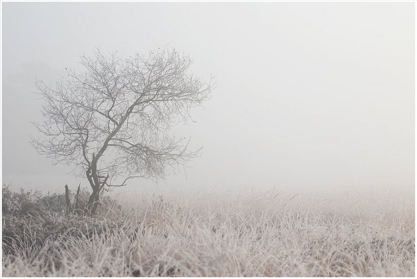 winter morning by Hetwie van der Putten